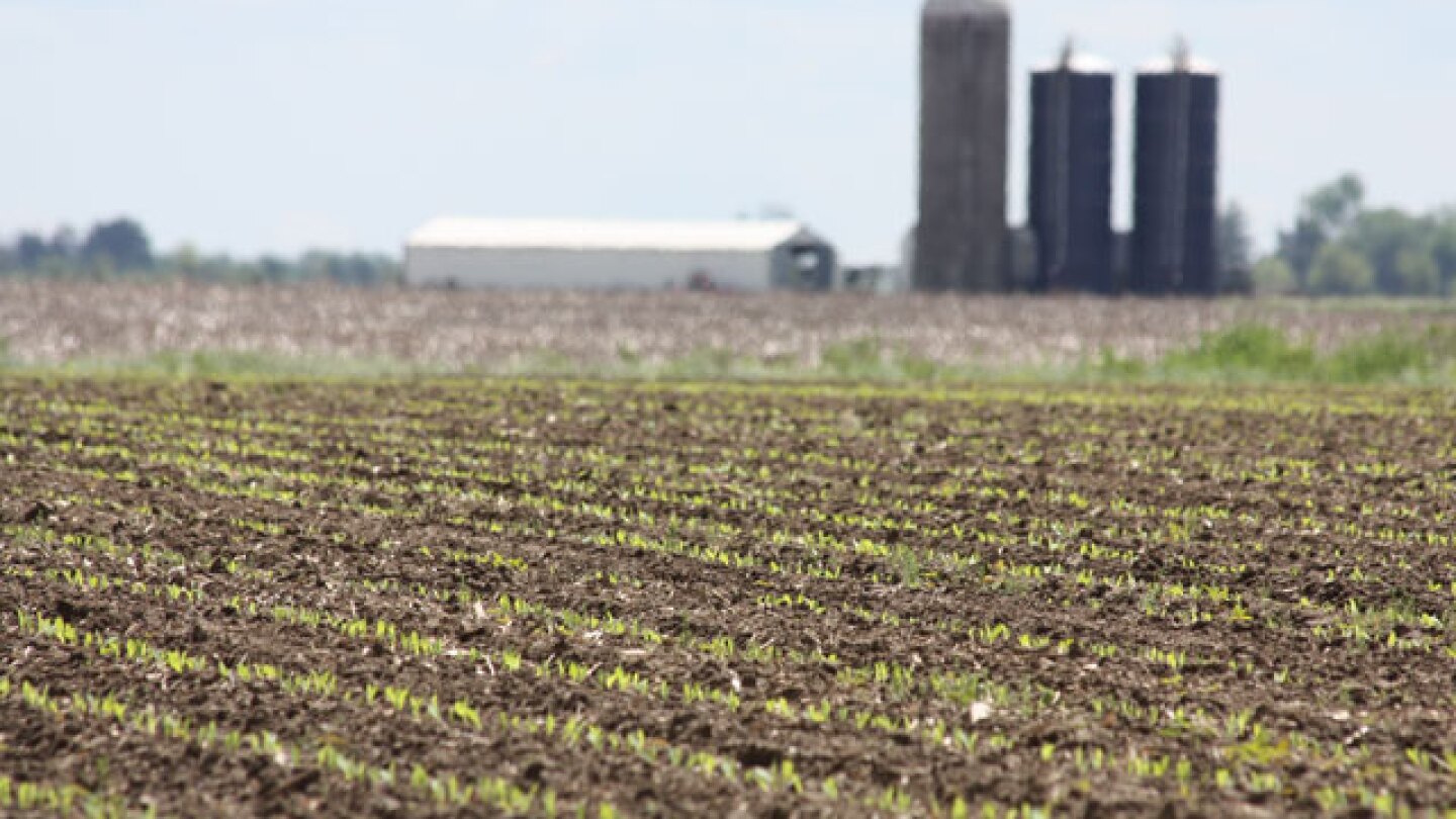 Farm Credit Sees “Resilient” Farmland Markt