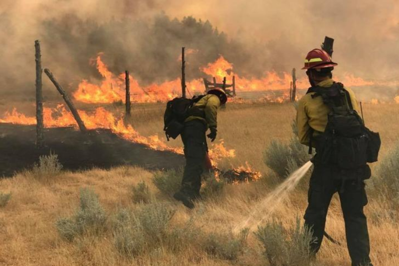 Wildfires 