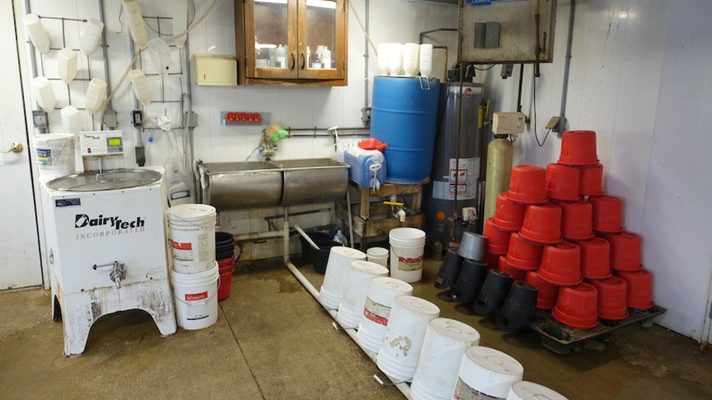 Try to Keep Dry to Prevent Crypto - Dairy Herd