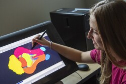 University of Illinois researcher with pig brain atlas