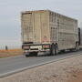 Livestock hauling