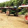 Burro automated cart