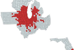 The 2018 distribution map of tar spot infections confirmed in the U.S.