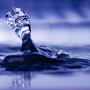 Does drinking water quality influence health and performance of pigs? University of Minnesota researchers are looking at the impact of water quality on animal performance, gut health and livability of nursery pigs.