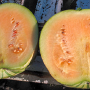  Carolina Strongback ripe fruit with seeds