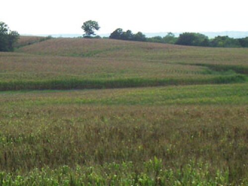 CRP ground
