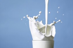 milk glass.jpg