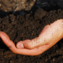 Land O’Lakes is aiming to straighten the path as much as possible for more farmers to adopt more regenerative practices across their acres, and in doing so building a wider funnel of farmers who could enroll in carbon markets and other new revenue streams. 