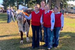 Pictured left to right: Abigail Spindle, Stanley, N.M.; Tyler Allan, Schulenburg, Texas; Keayla Harr, Jeromesville, Ohio; and Taylor Belle Matheny, Mays Lick, Ky.