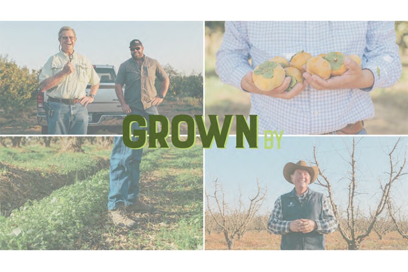Grown By series showing four farmers. Photo courtesy Homegrown Organic Farms