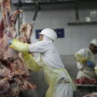 Brazilian meat production