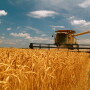 Wheat harvest is kicking off in major wheat growing areas, while wrapping up in the South. As combines roll, growers are facing below break-even prices, even with the recent Chinese buying spree. 