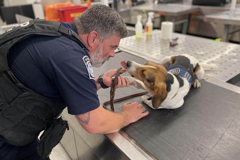 Sol and CBP handler