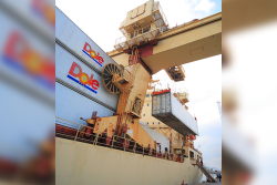 Yellow cargo ship docked at a port, holding white containers with the Dole company logo.