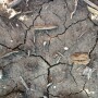 DrySoilSoutDakota1.jpg