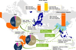 China imports 90% of its soybean needs, which is 60% of global soybeans.