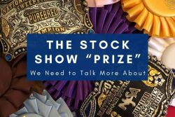 Stock Show Prize Dark Blue