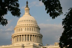 U.S. Capitol