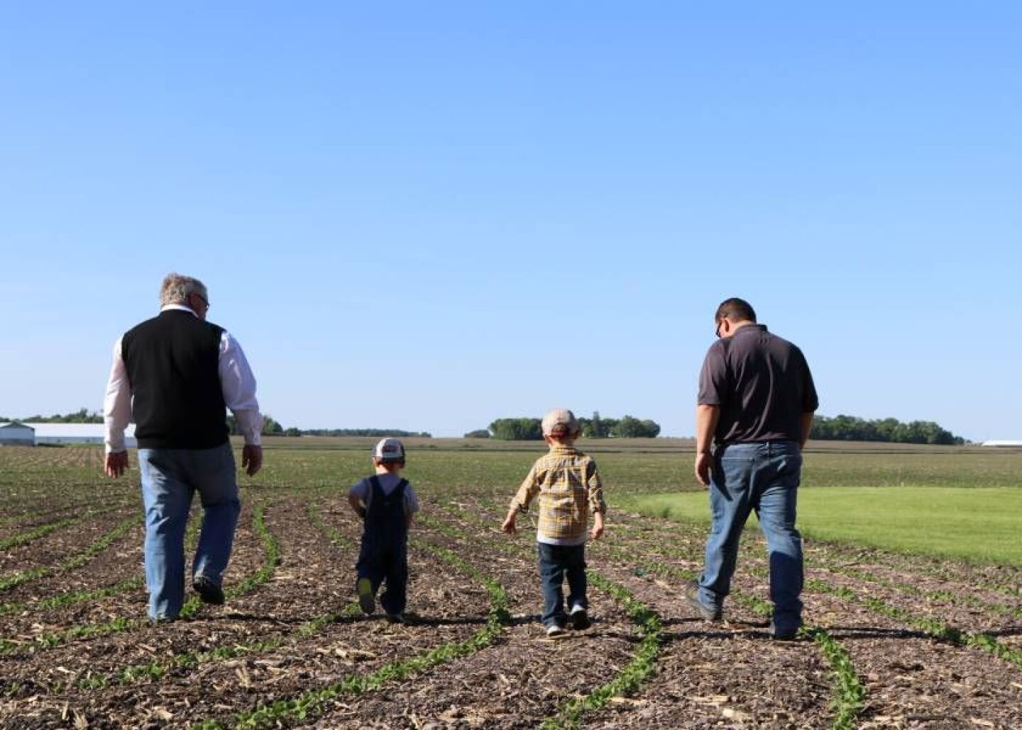 Generations on the Farm