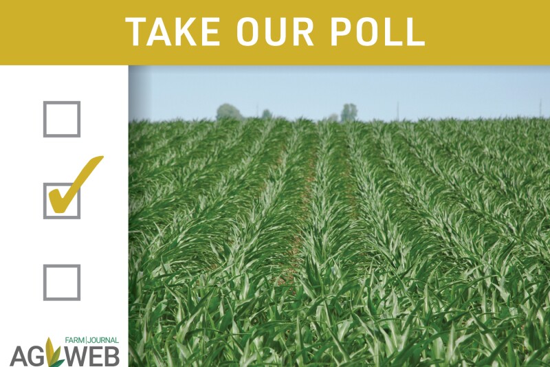 Take our poll: How optimistic are you now about your corn yields compared to when you planted?