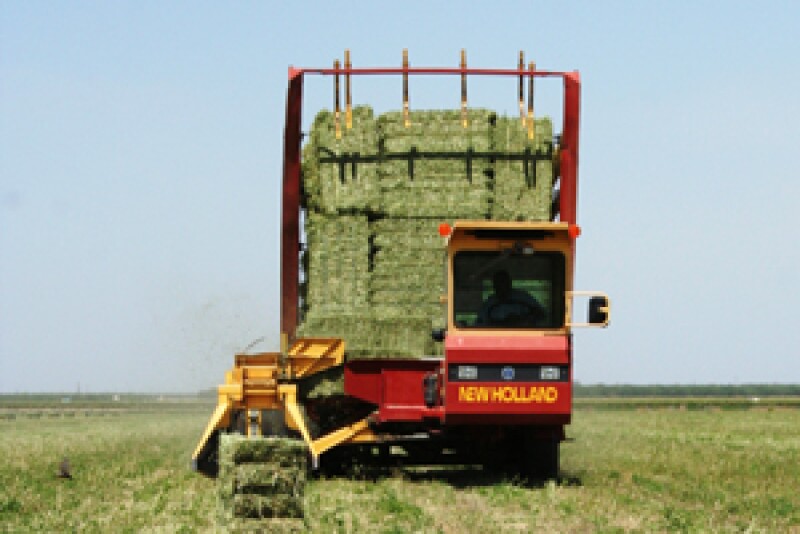 D11044b