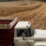 Harvest20