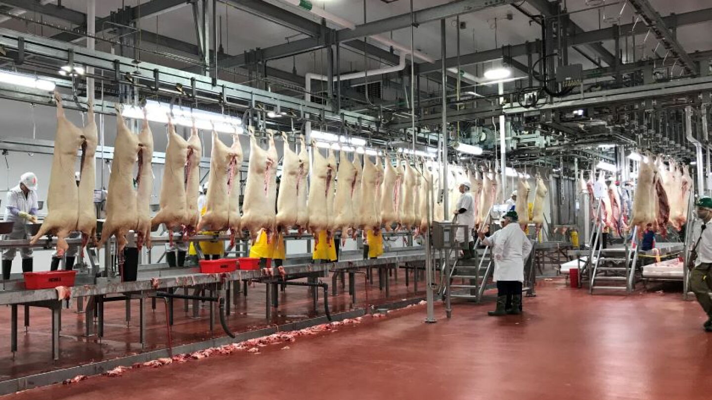 USDA's Proposed Changes to Line Speed Rules Will Boost Pork Processing Capacity - Pork Business USDA's Proposed Changes to Line Speed Rules Will Boost Pork Processing Capacity - Pork Business