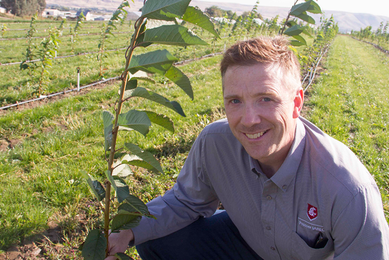 Washington State University breeder Per McCord
