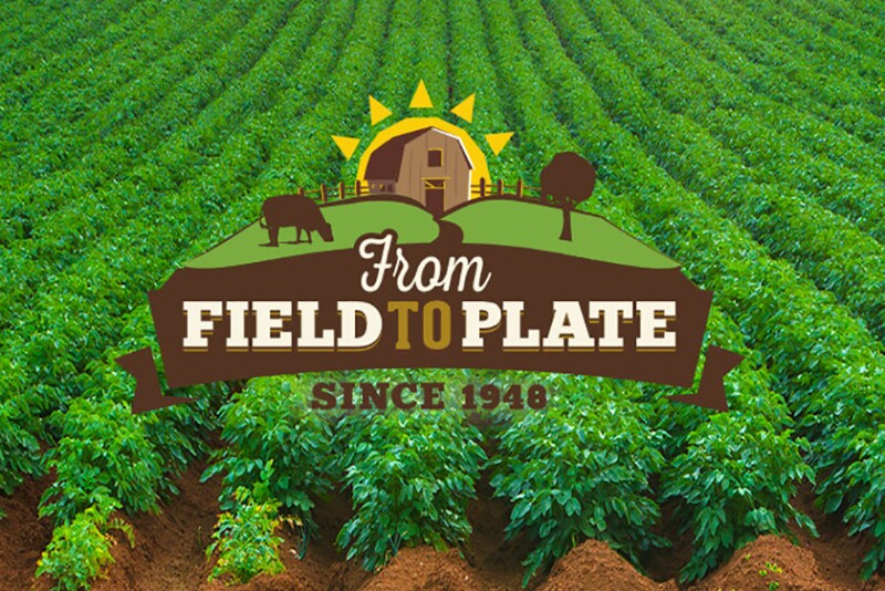 field.jpg