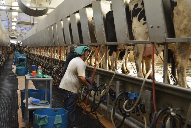 “The market is giving us the opportunities that we need to learn from our mistakes of this spring,” she says. “The market is giving us a second chance on protecting milk.”