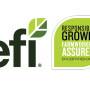 EFI