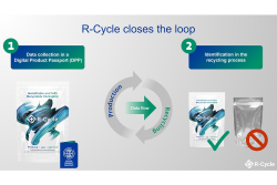 R-Cycle