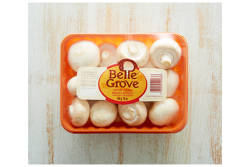 Belle Grove Mushrooms_0.png