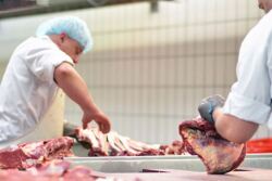 Meat processing plant employees