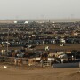 feedyard.jpg