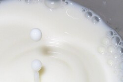milk-1325717-640x480