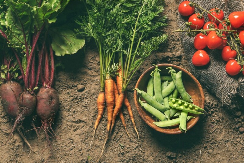 The USDA's Agricultural Marketing Service plans to hold a public listening session regarding upcoming standards and development activities and to gather feedback regarding recommendations received from the National Organic Standards Board. 