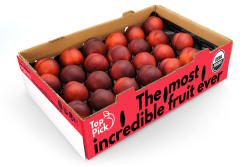 Stemilt Growers offers stone fruit, like these nectarines, in its 15-pound bulk Top Pick program.