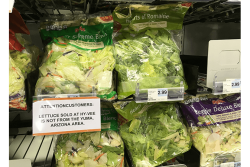 Romaine has returned to grocery stores in the U.S. and Canada, but issues regarding financial responsibility in the losses of millions of dollars from dumped romaine shipments remain.