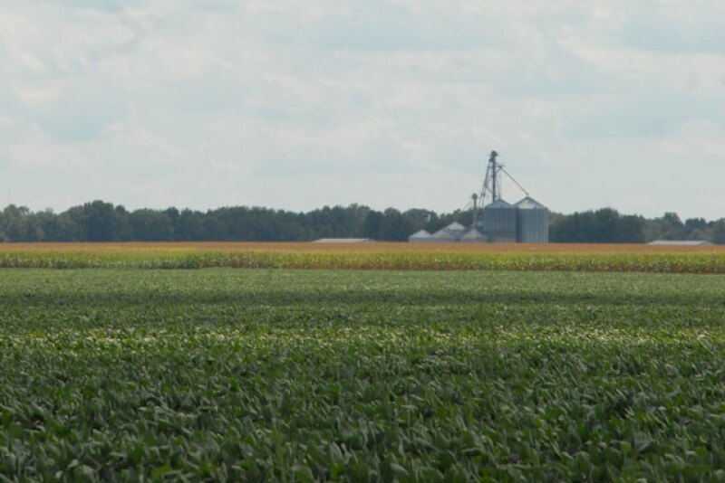 farm-grain-bins-corn-soybeans
