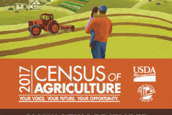 Census