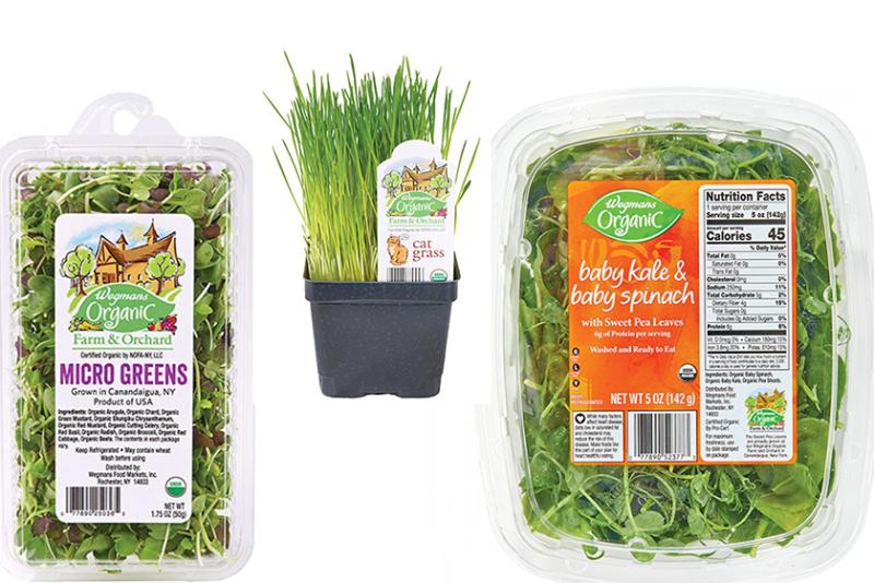 micro greens cat grass etc pea greens