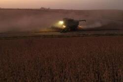 Soybean-harvest
