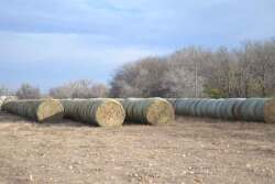 Round Bales