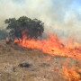 West_Texas_Wildfire