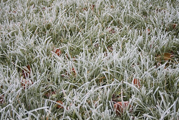 Memorial Day weekend featured a late frost for the Upper Midwest and Northern Plains.
