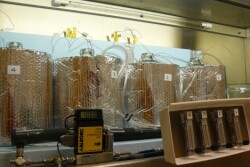 The researchers tested lab-scale aerobic digestion using tanks containing chicken carcasses, water and low levels of oxygen. Further research may test the concepts at field scale.