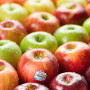 Apples