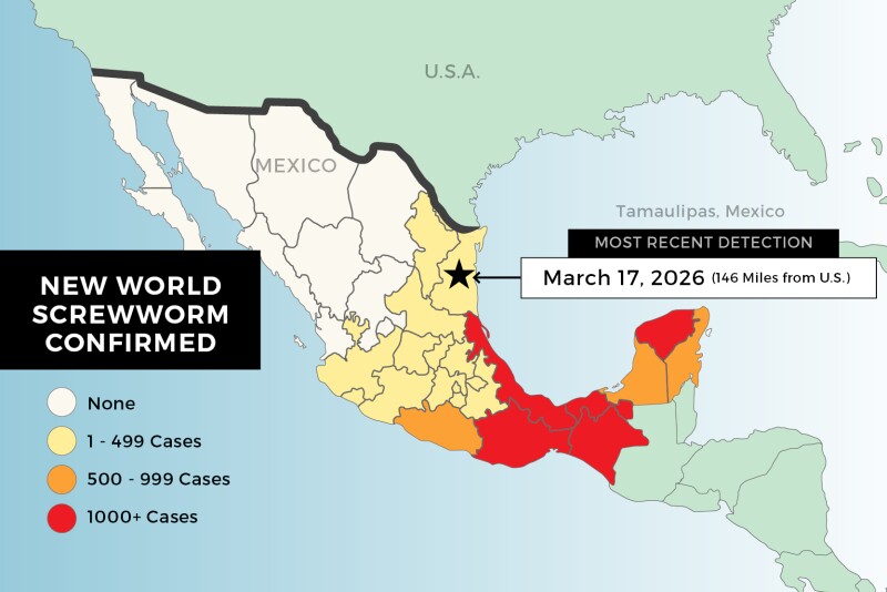 Should Beef Producers Be Concerned About Potential Phased Reopening of ...