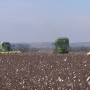 Farmers helping Collin Klattenhoff